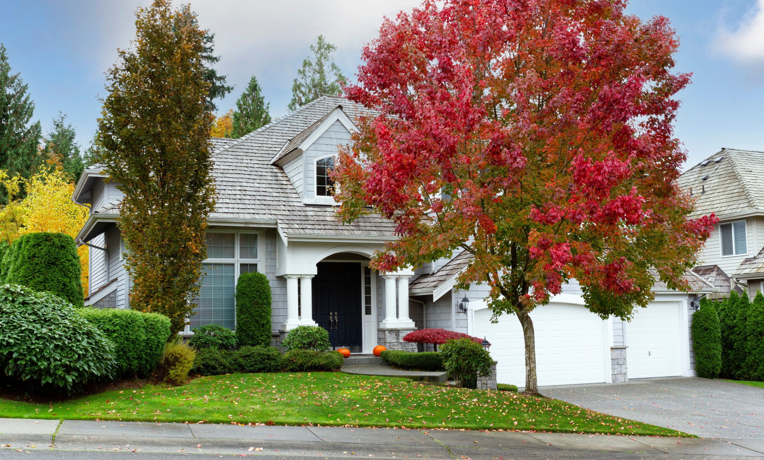 Landscaping marketing material