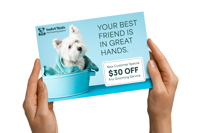 Hands holding a promotional direct mail postcard with a cute dog and a discount for grooming displayed.
